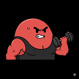 Fitness Studios